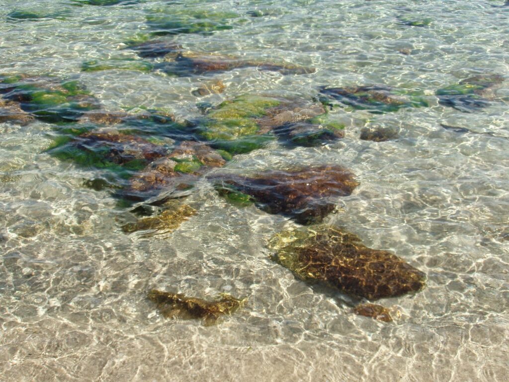 Aguas Cristalinas